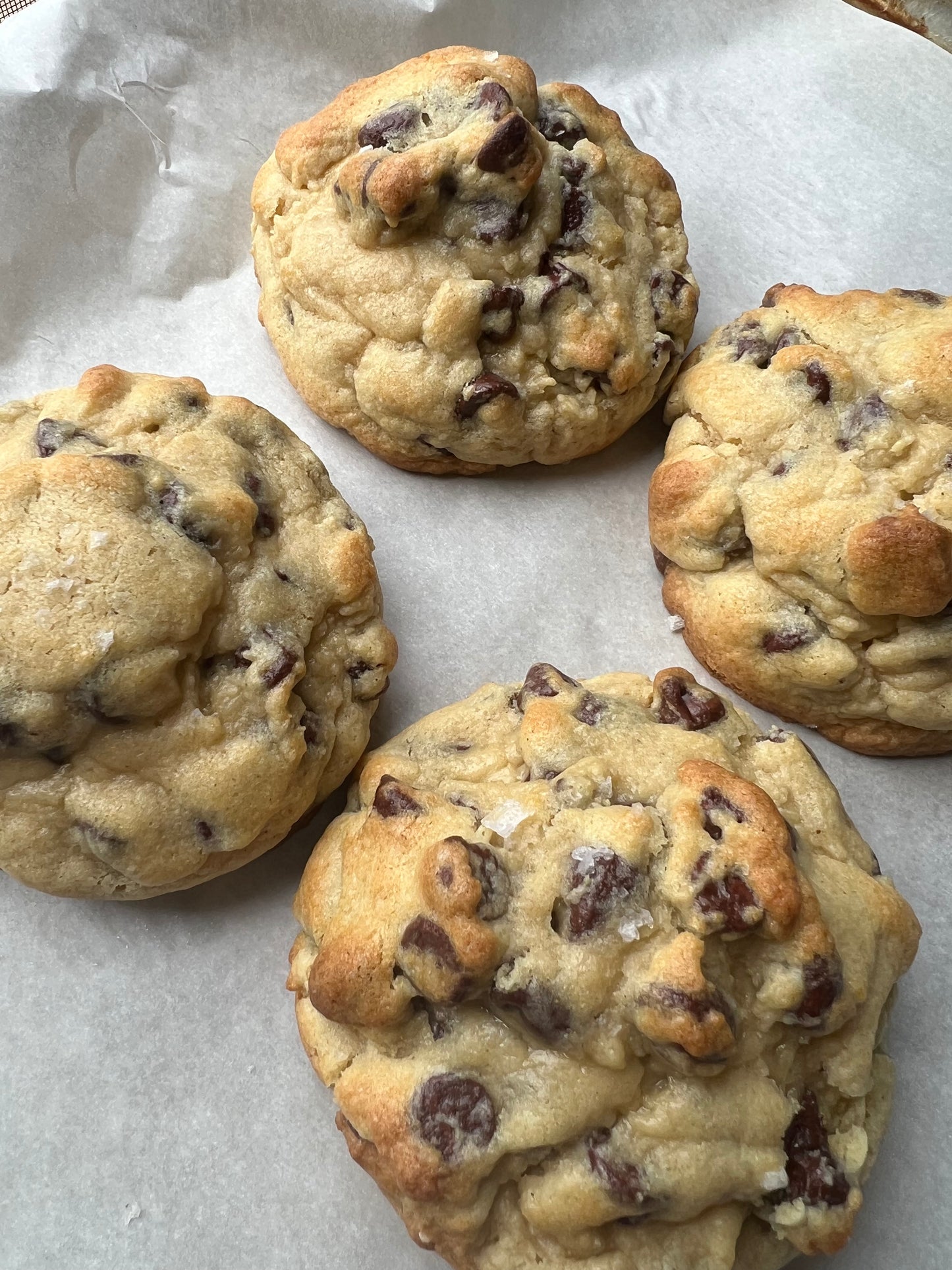 Half dozen Sea Salt Choc Chip