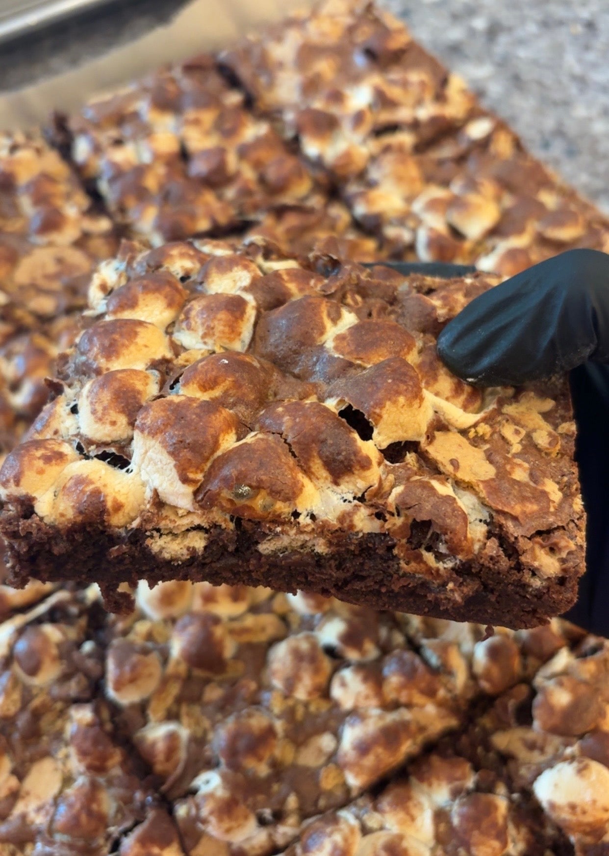S'mores Brownie