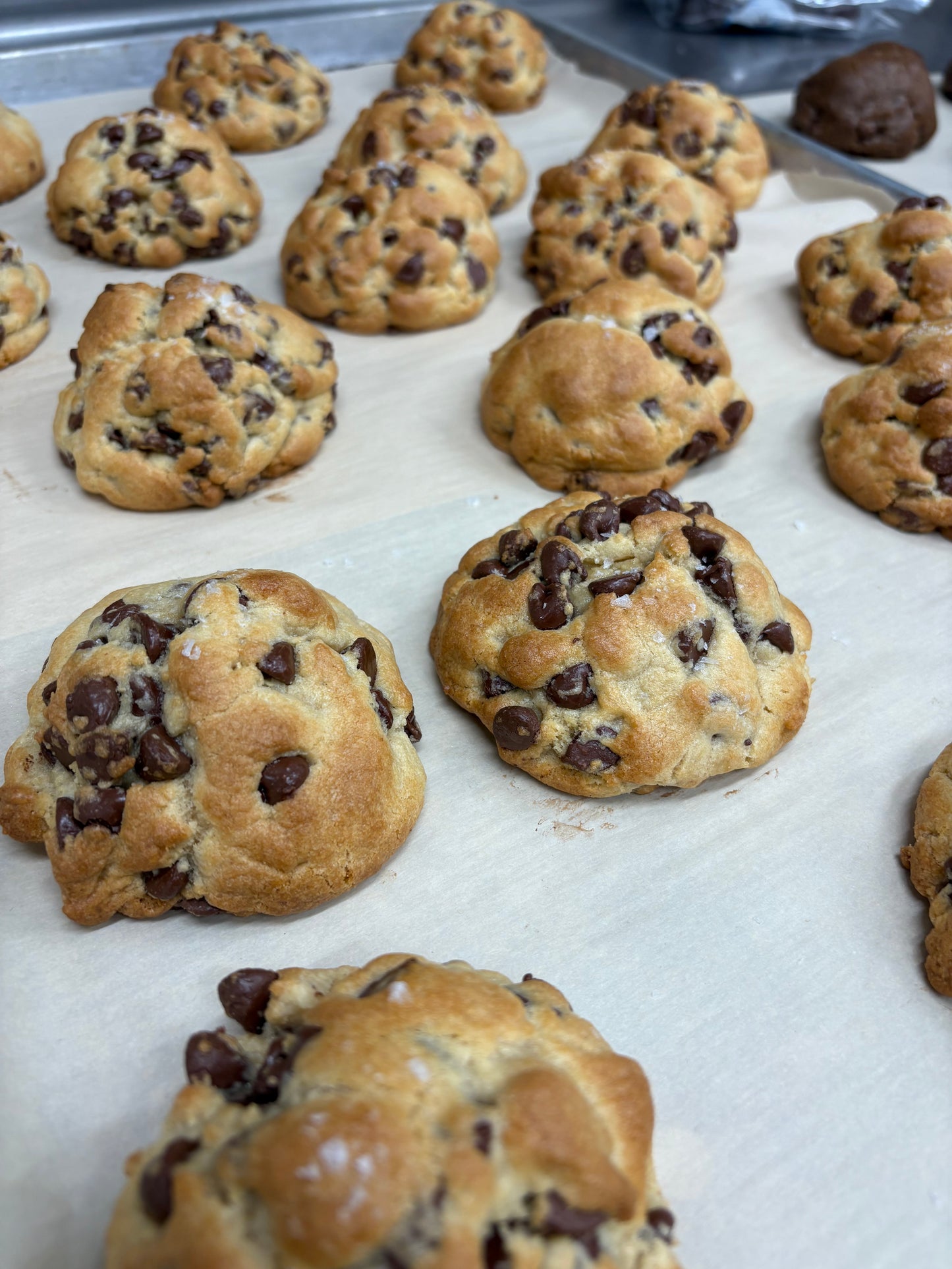 Half dozen sea salt chocoalte chip